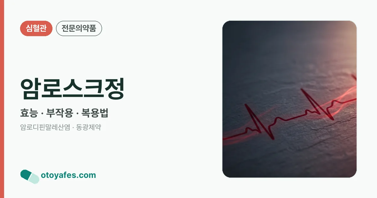암로스크정 정리 썸네일