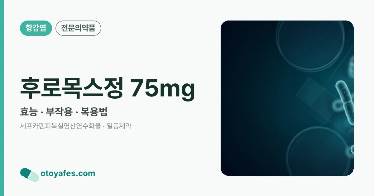 후로목스정 75mg 정리 썸네일