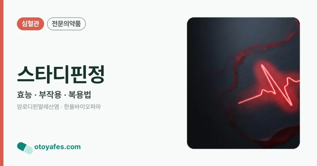 스타디핀정 정리 썸네일