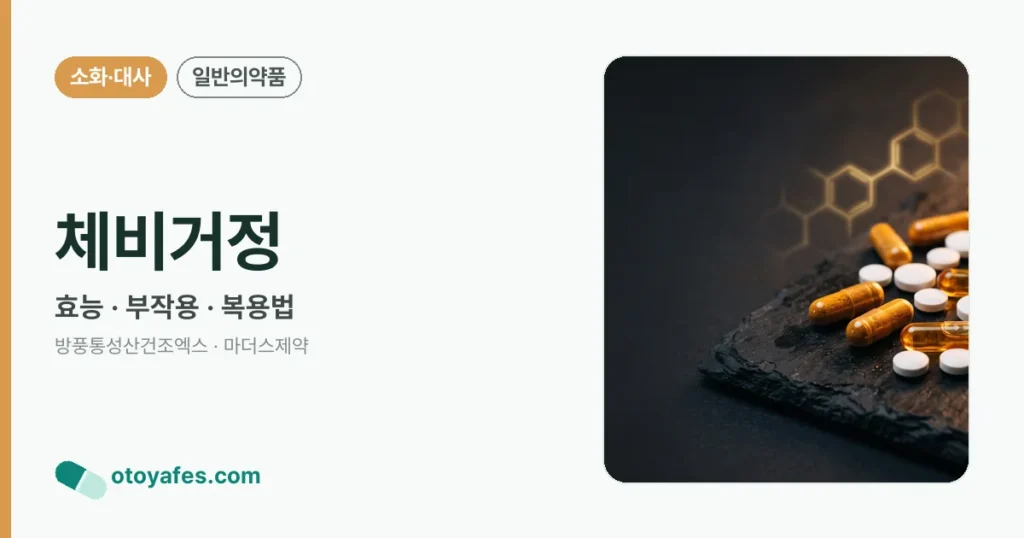 체비거정 정리 썸네일