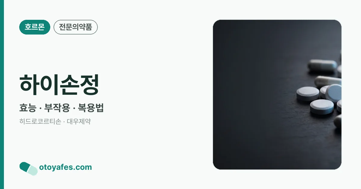하이손정 정리 썸네일