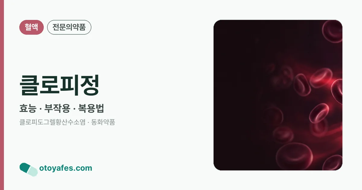 클로피정 정리 썸네일