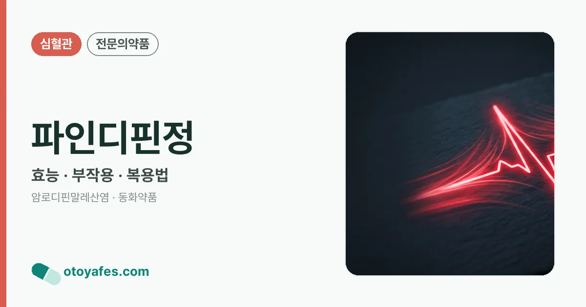 파인디핀정 정리 썸네일