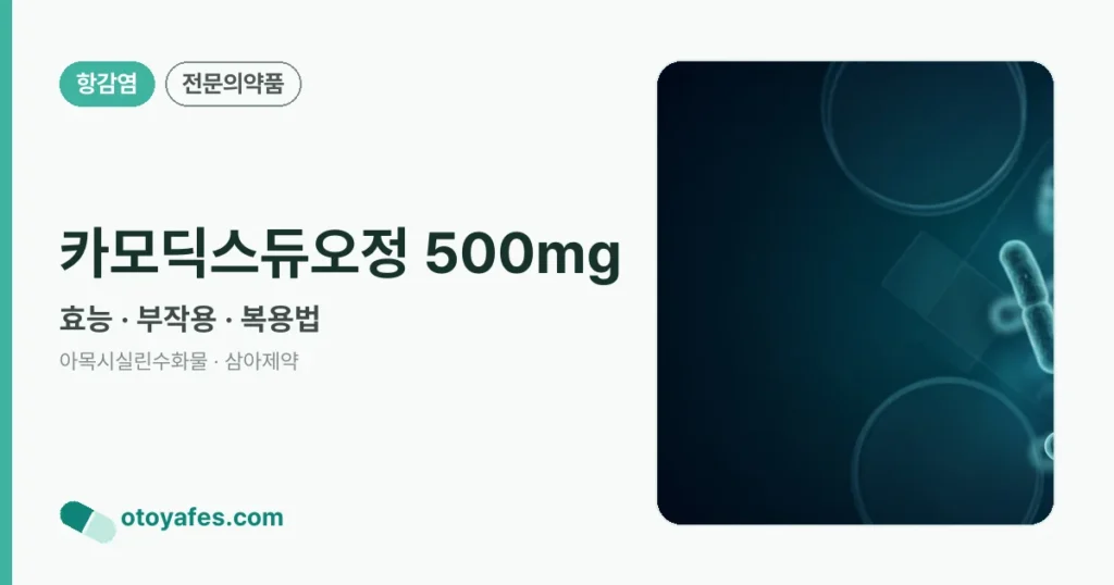 카모딕스듀오정 500mg 정리 썸네일