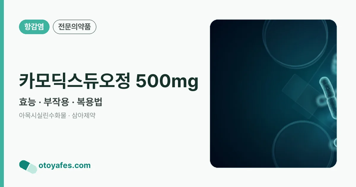 카모딕스듀오정 500mg 정리 썸네일