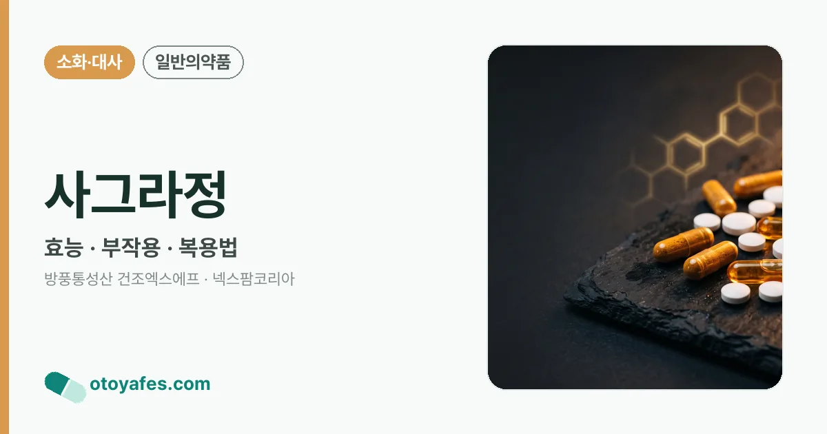 사그라정 정리 썸네일
