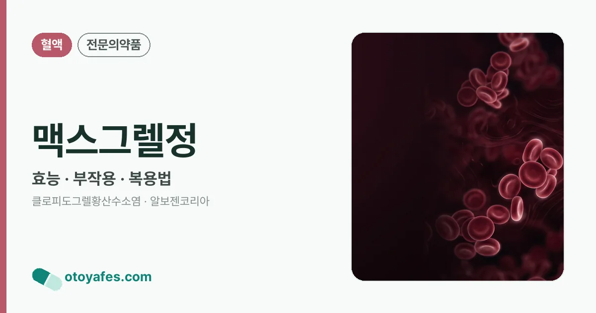 맥스그렐정 정리 썸네일