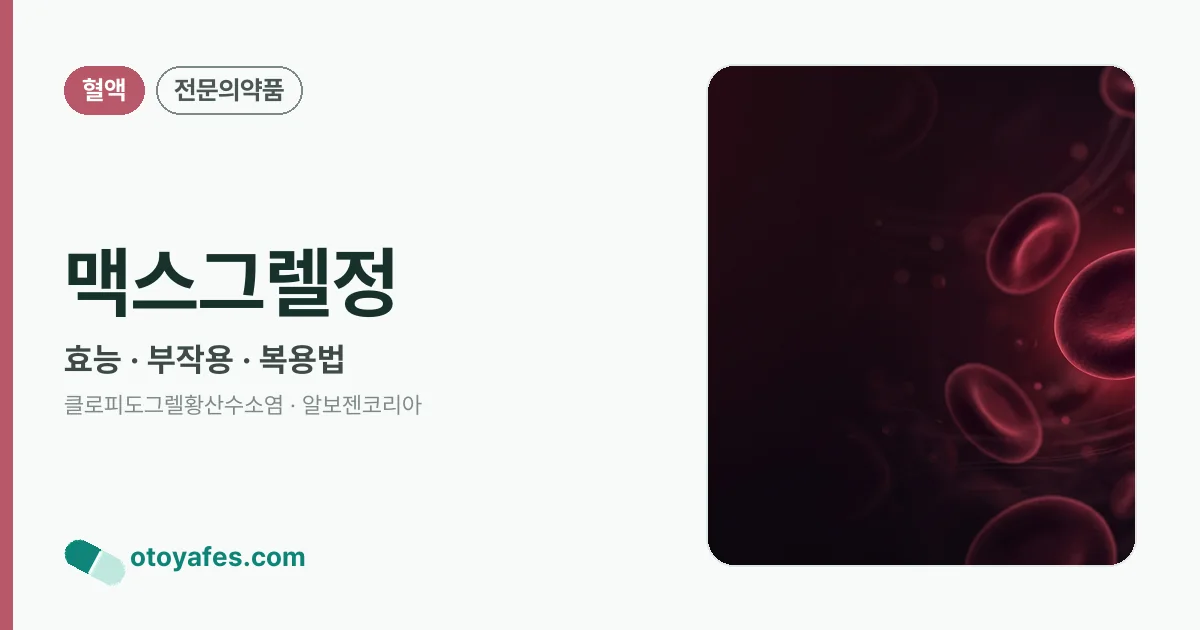 맥스그렐정 정리 썸네일