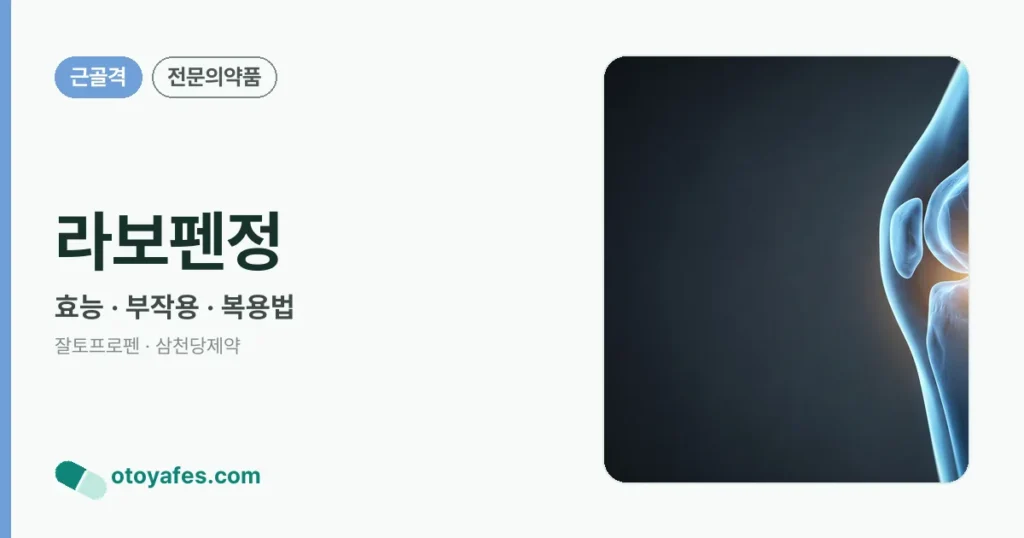 라보펜정 정리 썸네일