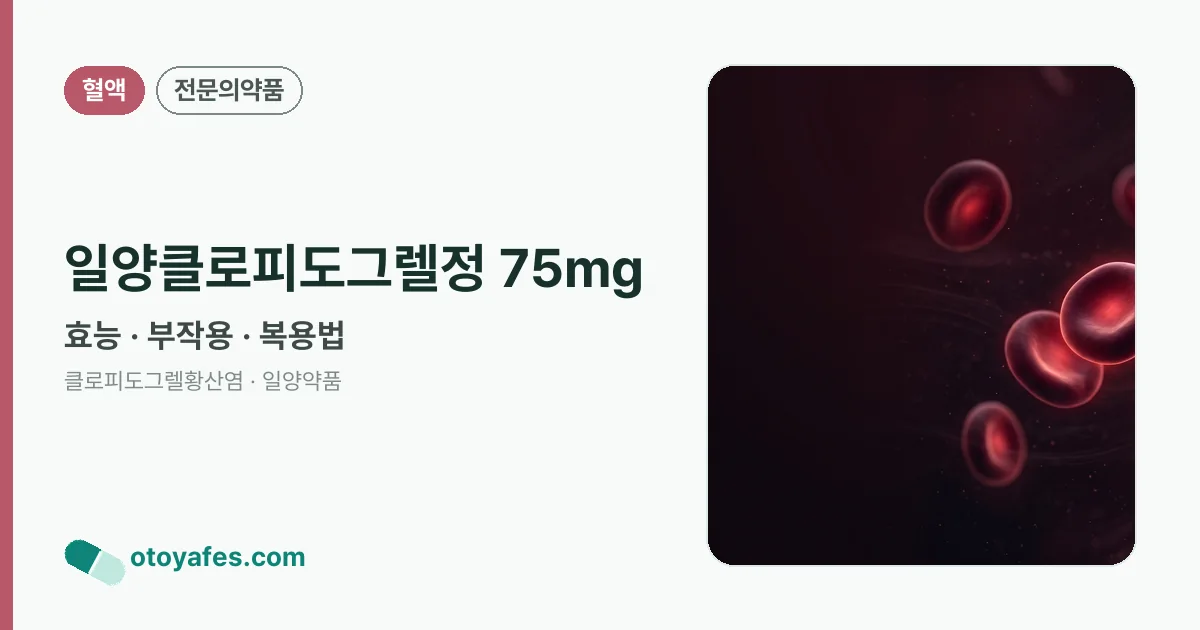 일양클로피도그렐정 75mg 정리 썸네일