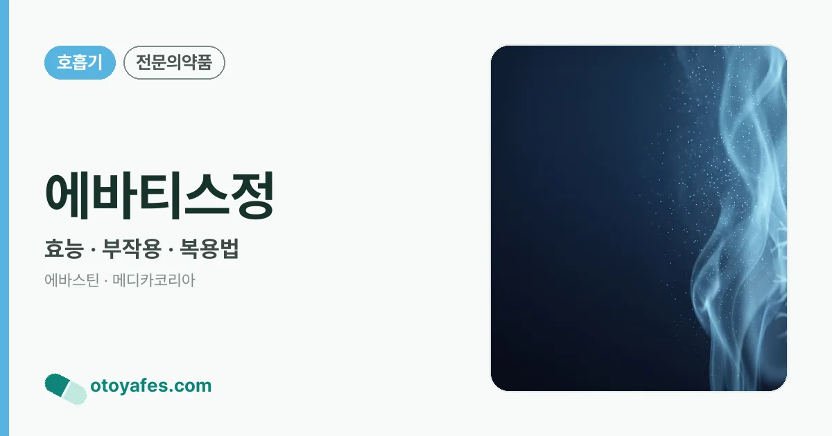 에바티스정 정리 썸네일