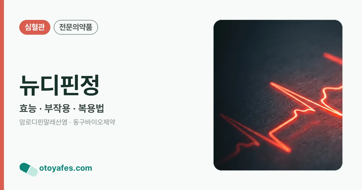 뉴디핀정 정리 썸네일