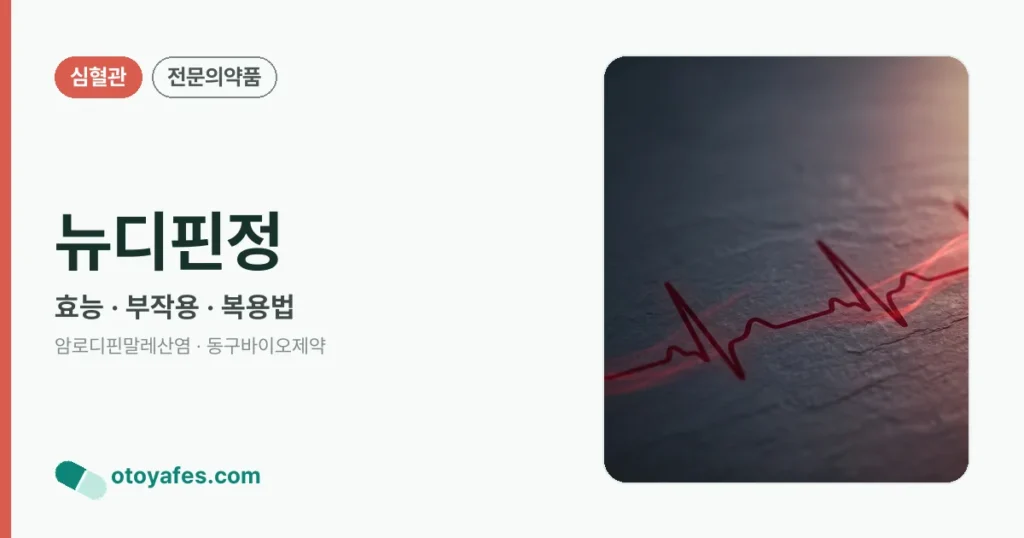 뉴디핀정 정리 썸네일