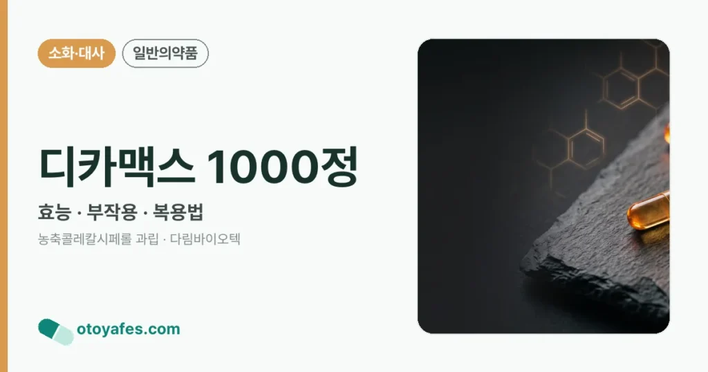 디카맥스 1000정 정리 썸네일