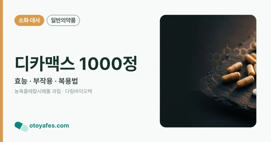 디카맥스 1000정 정리 썸네일