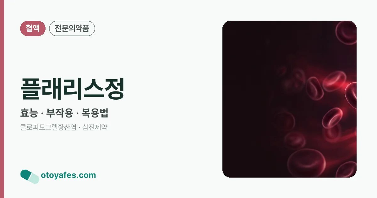 플래리스정 정리 썸네일
