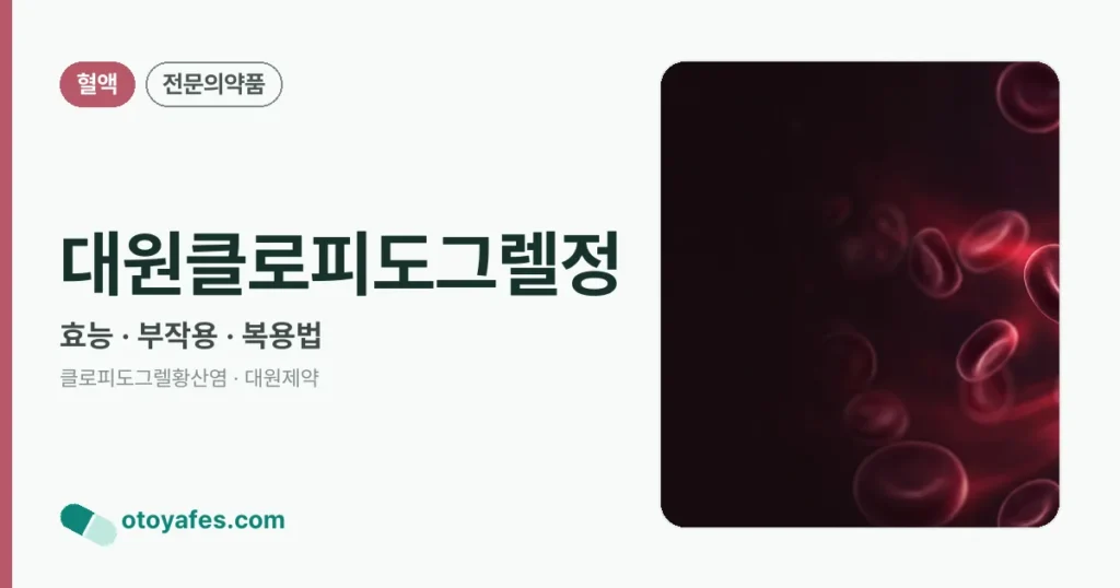 대원클로피도그렐정 정리 썸네일