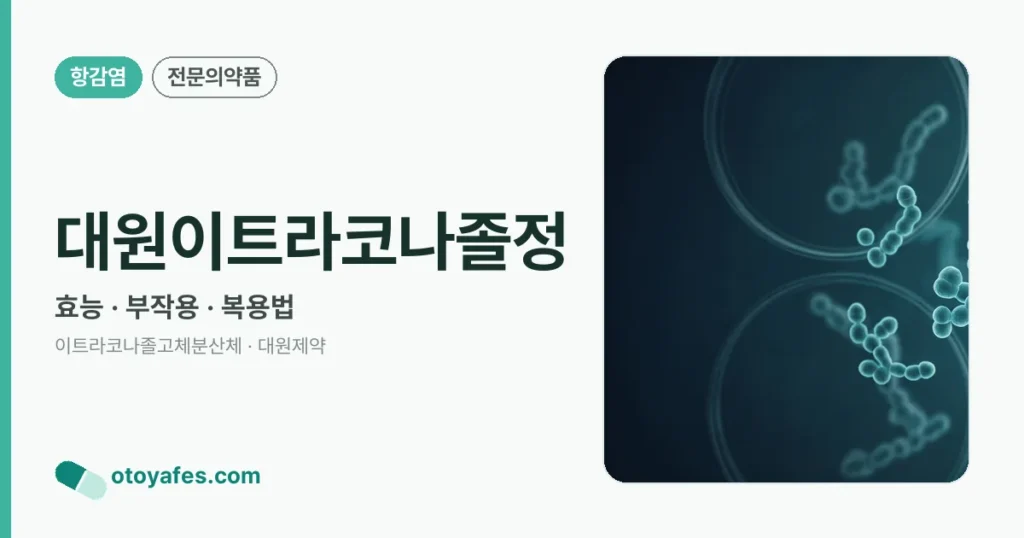 대원이트라코나졸정 정리 썸네일
