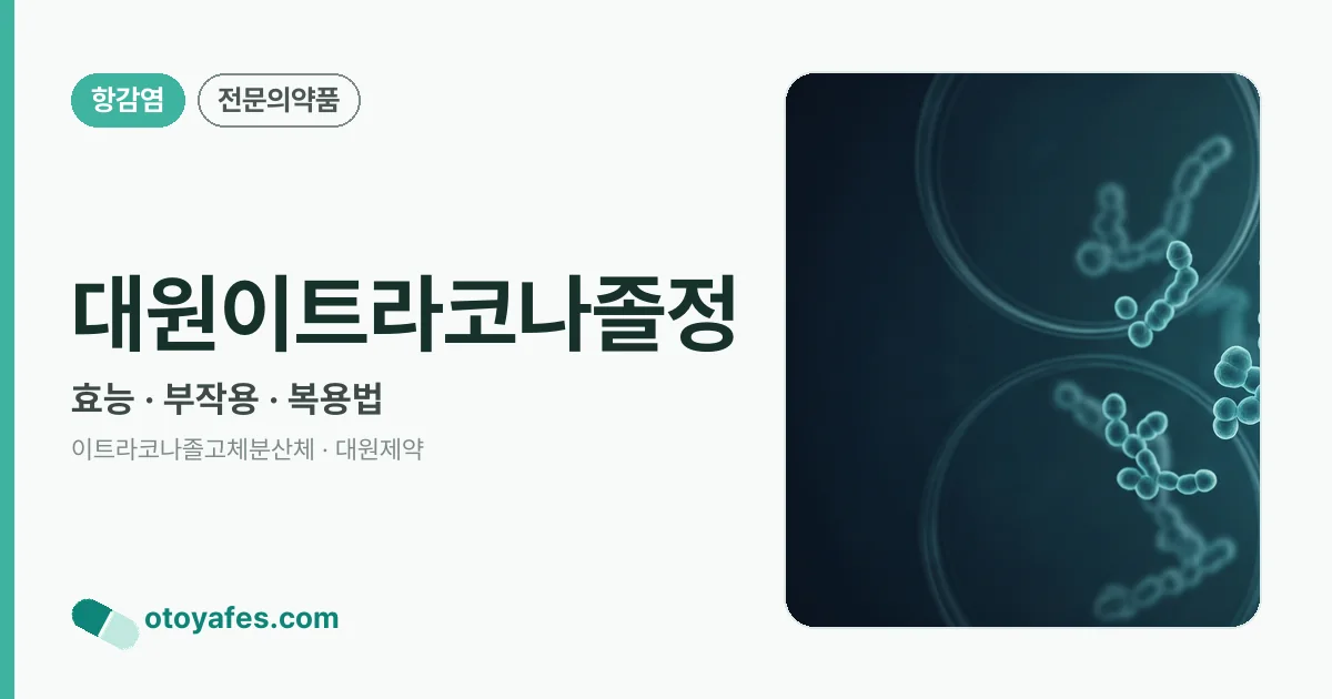 대원이트라코나졸정 정리 썸네일