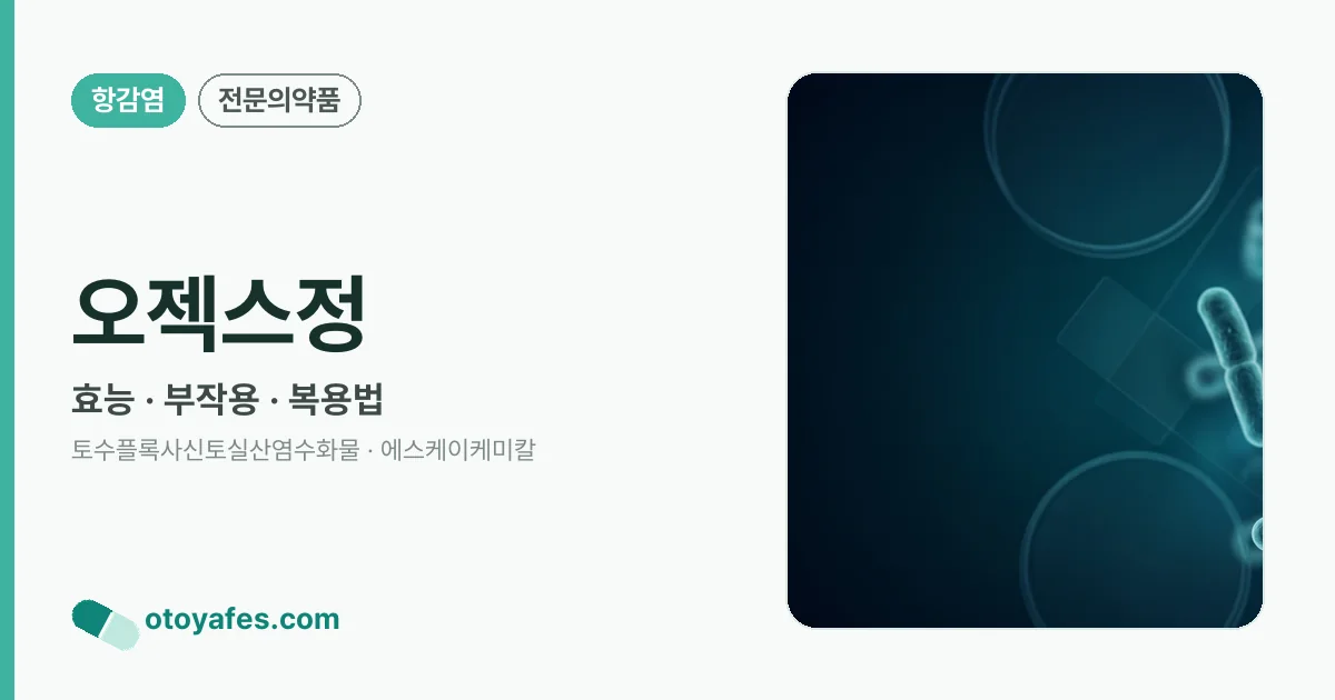 오젝스정 정리 썸네일