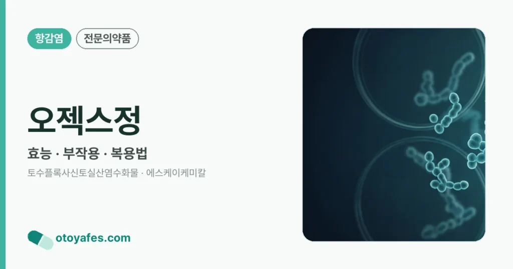 오젝스정 정리 썸네일