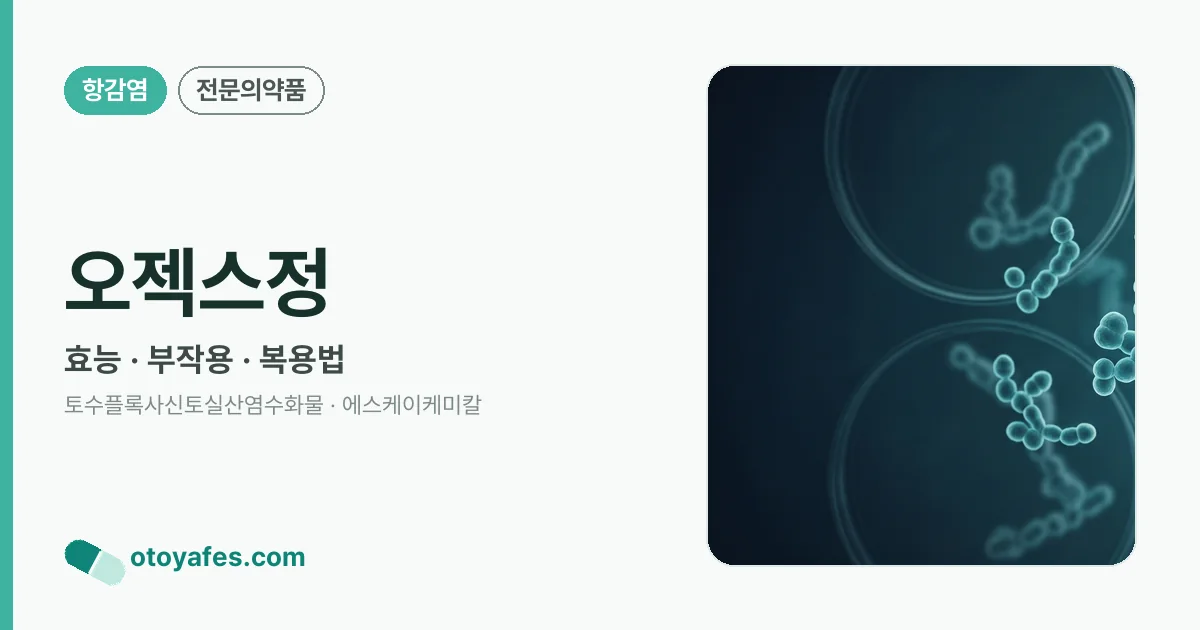 오젝스정 정리 썸네일