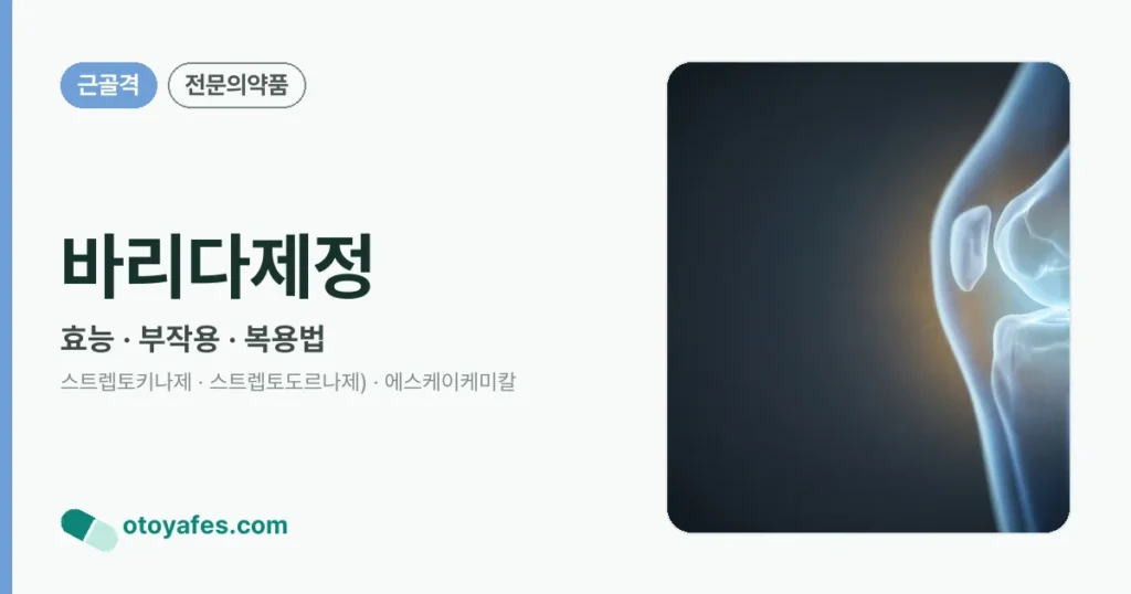 바리다제정 정리 썸네일