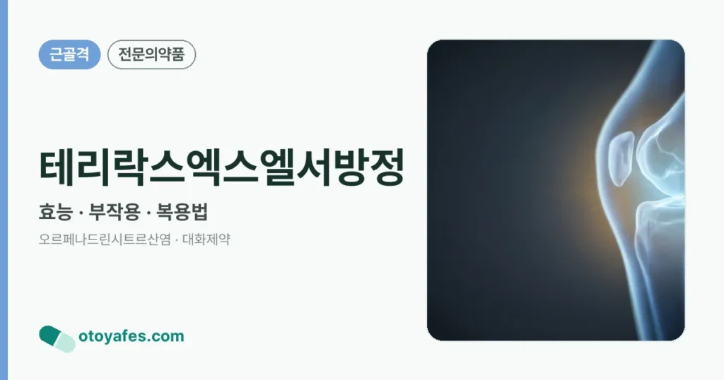 테리락스엑스엘서방정 정리 썸네일