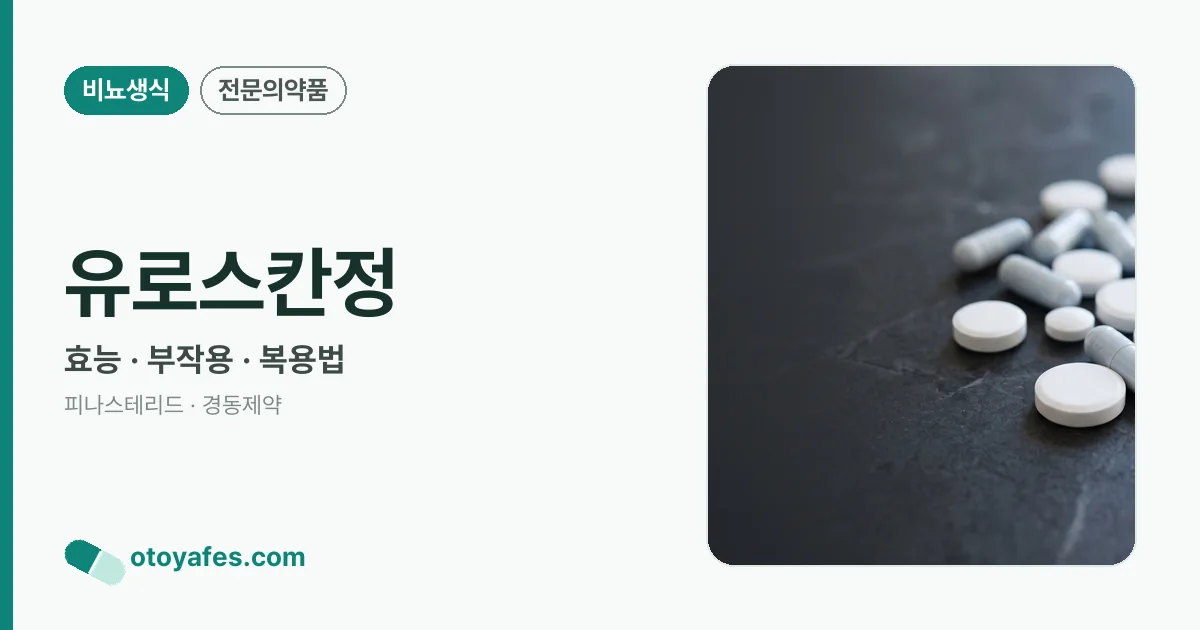 유로스칸정 정리 썸네일
