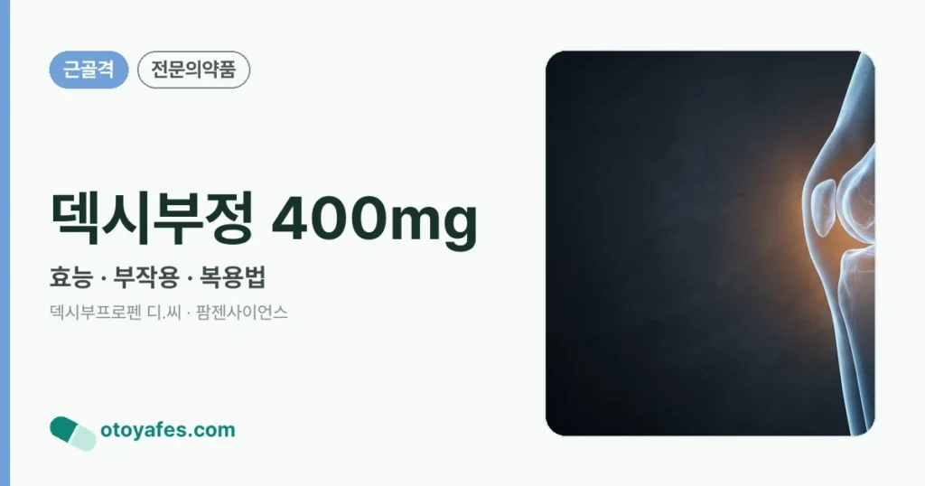 덱시부정 400mg 정리 썸네일