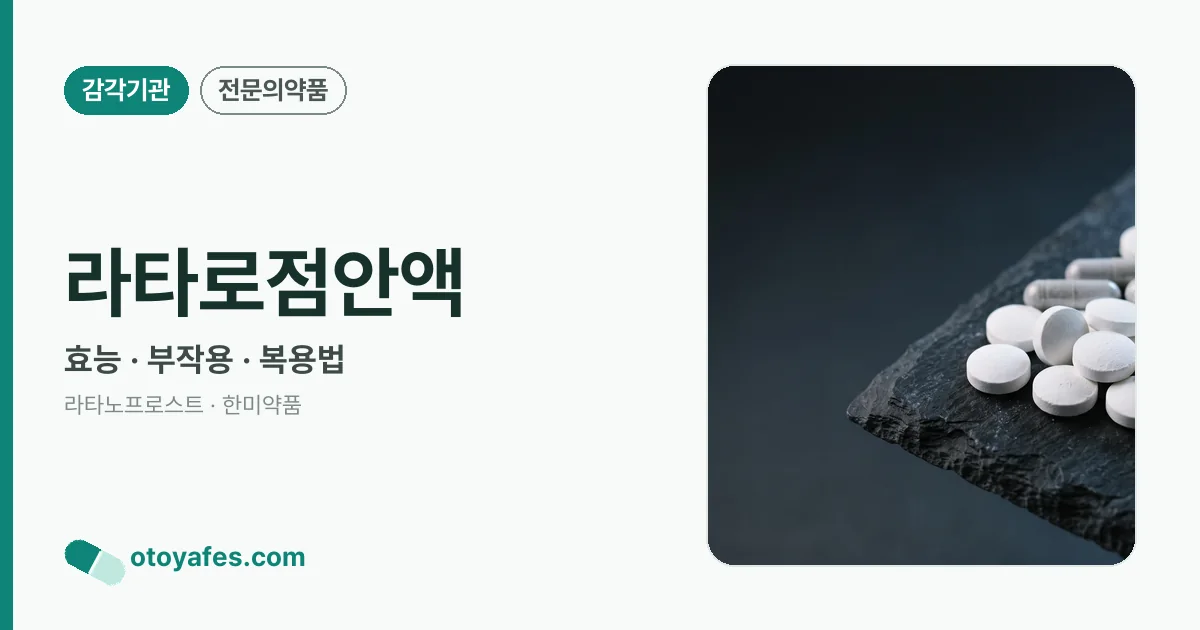 라타로점안액 정리 썸네일