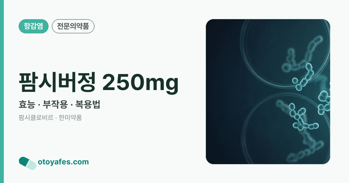 팜시버정 250mg 정리 썸네일