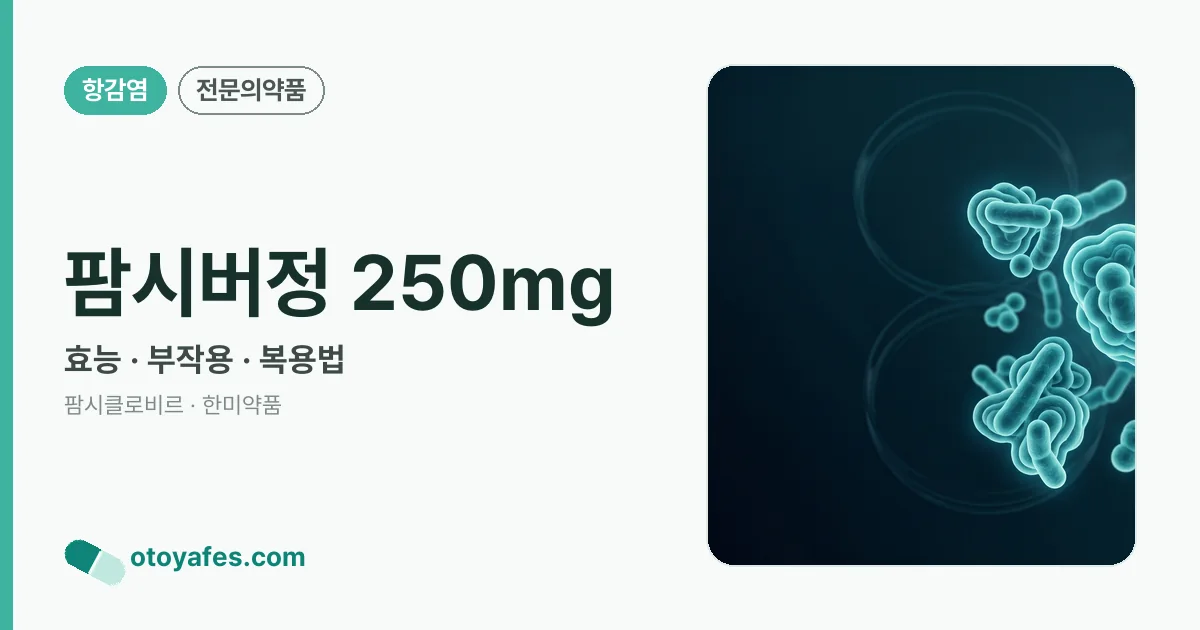 팜시버정 250mg 정리 썸네일