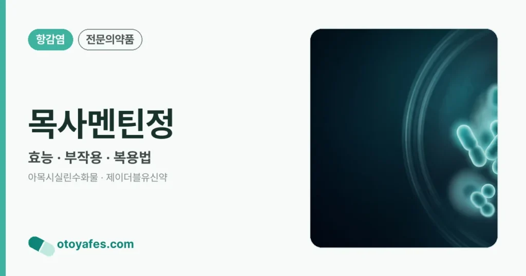 목사멘틴정 정리 썸네일