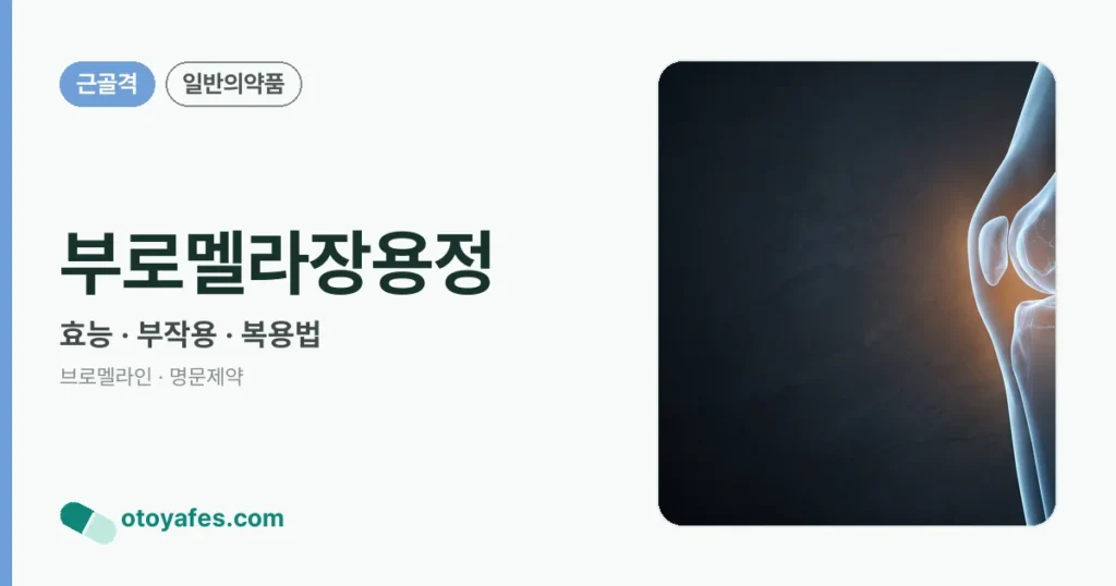 부로멜라장용정 정리 썸네일