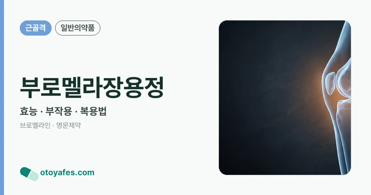 부로멜라장용정 정리 썸네일