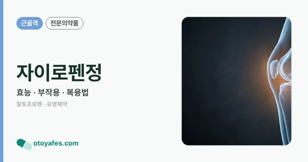 자이로펜정 정리 썸네일