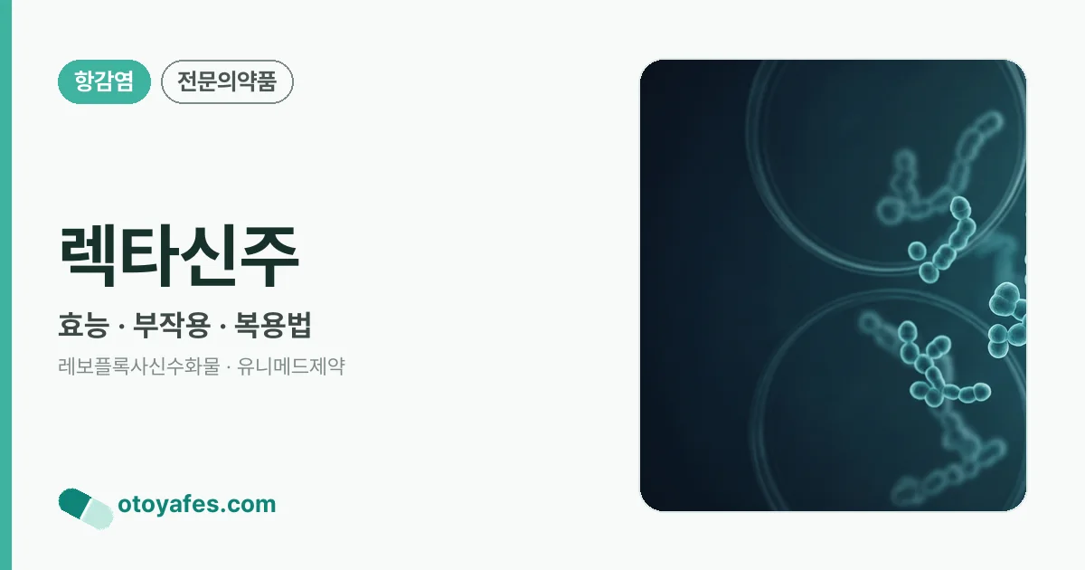 렉타신주 정리 썸네일
