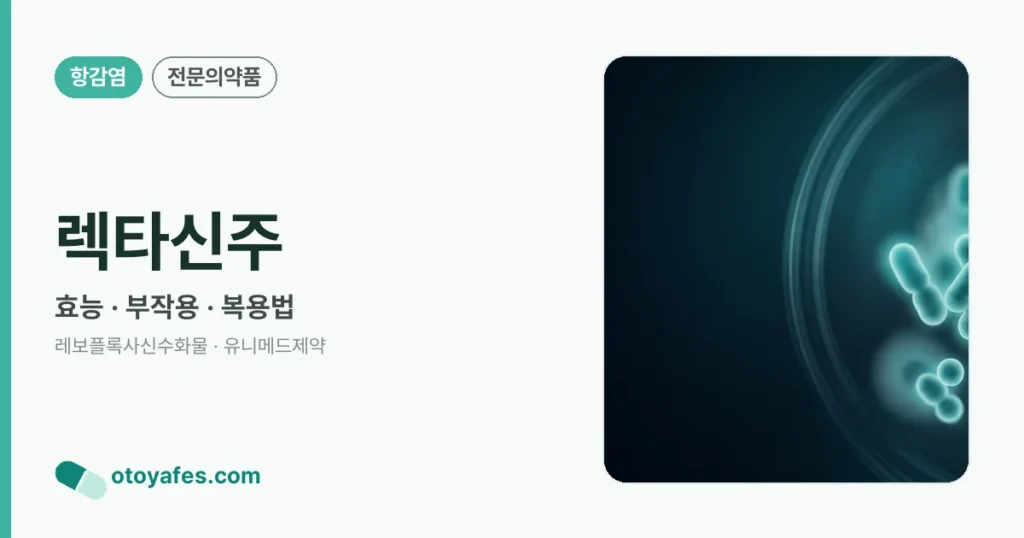 렉타신주 정리 썸네일