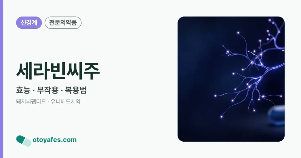 세라빈씨주 정리 썸네일