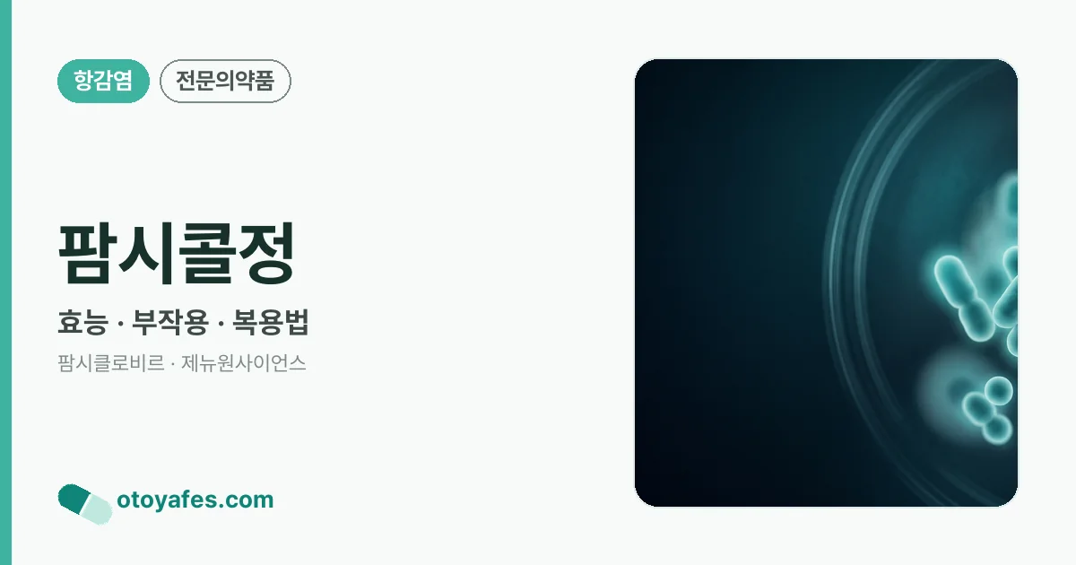 팜시콜정 정리 썸네일