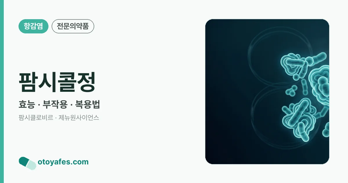 팜시콜정 정리 썸네일