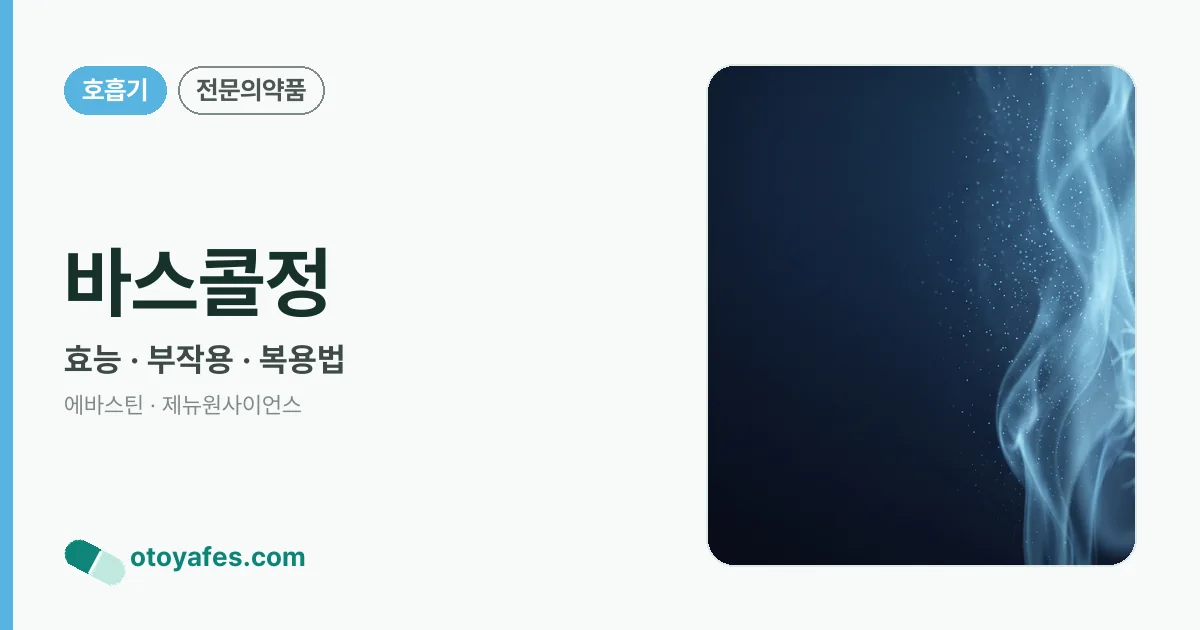 바스콜정 정리 썸네일