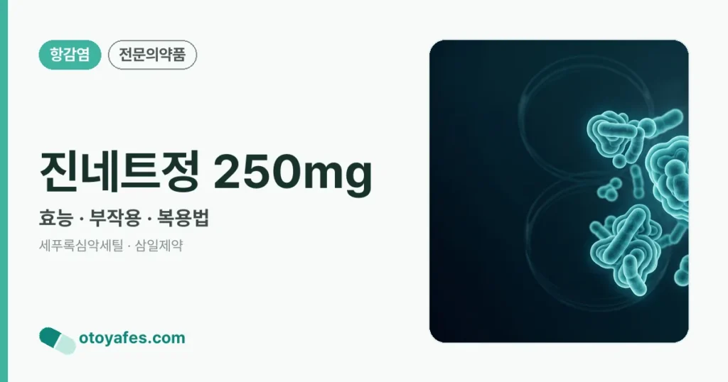 진네트정 250mg 정리 썸네일