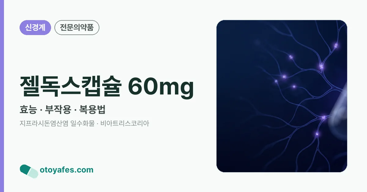 젤독스캡슐 60mg 정리 썸네일