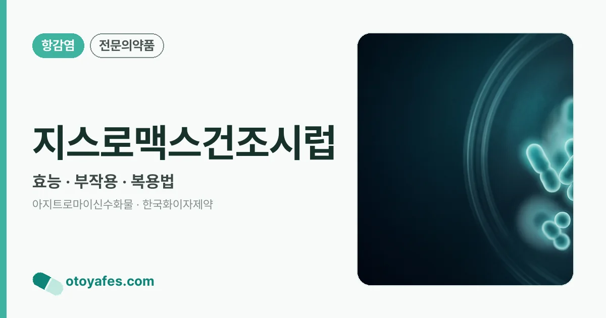 지스로맥스건조시럽 정리 썸네일