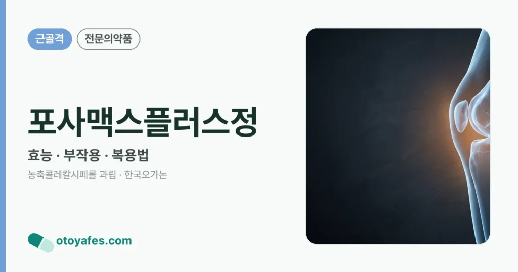 포사맥스플러스정 정리 썸네일