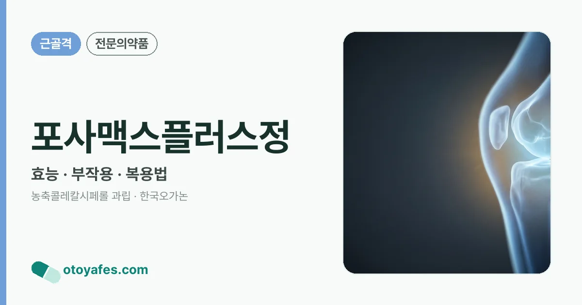 포사맥스플러스정 정리 썸네일