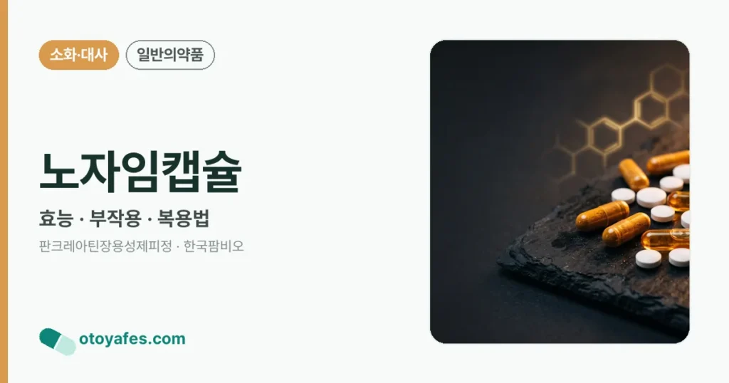 노자임캡슐 정리 썸네일