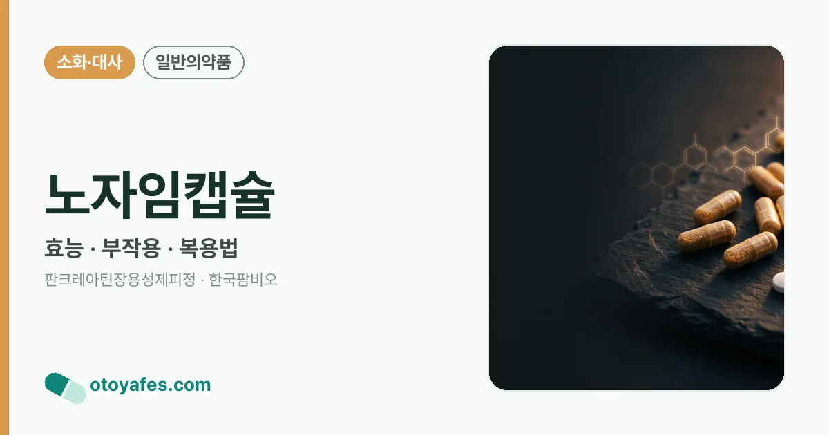 노자임캡슐 정리 썸네일